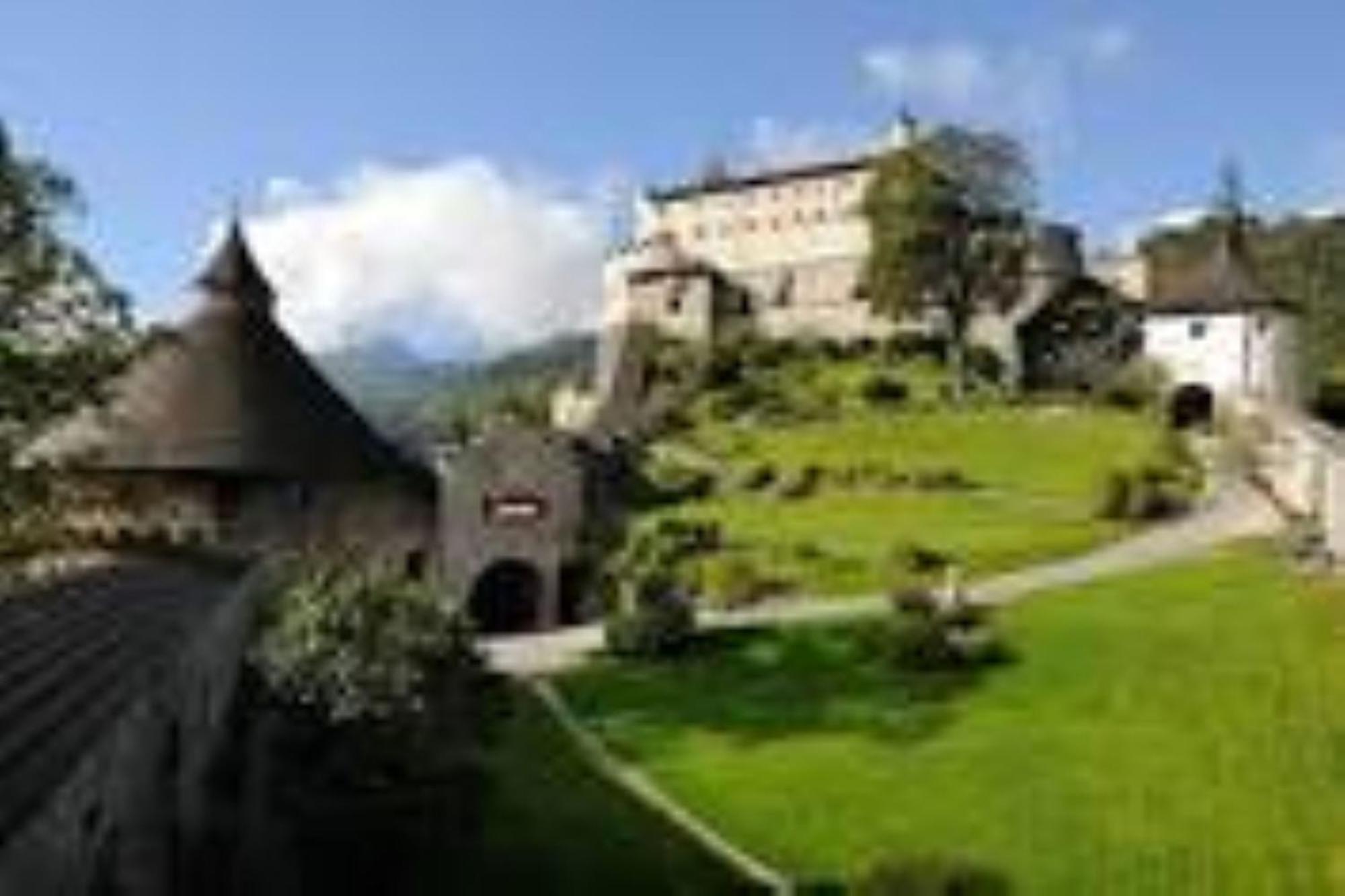 Ferienhaus Lechner Fuer Max 10 Personen - Wald Und Naturgarten Abtenau Extérieur photo