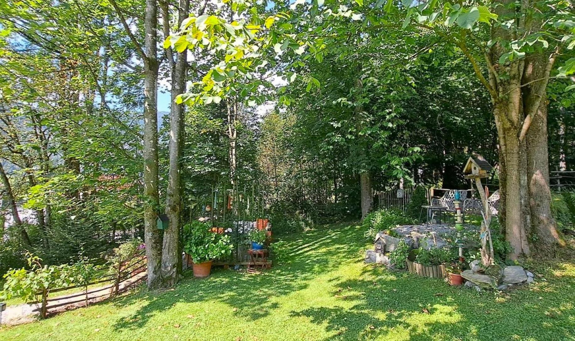 Ferienhaus Lechner Fuer Max 10 Personen - Wald Und Naturgarten Abtenau Extérieur photo