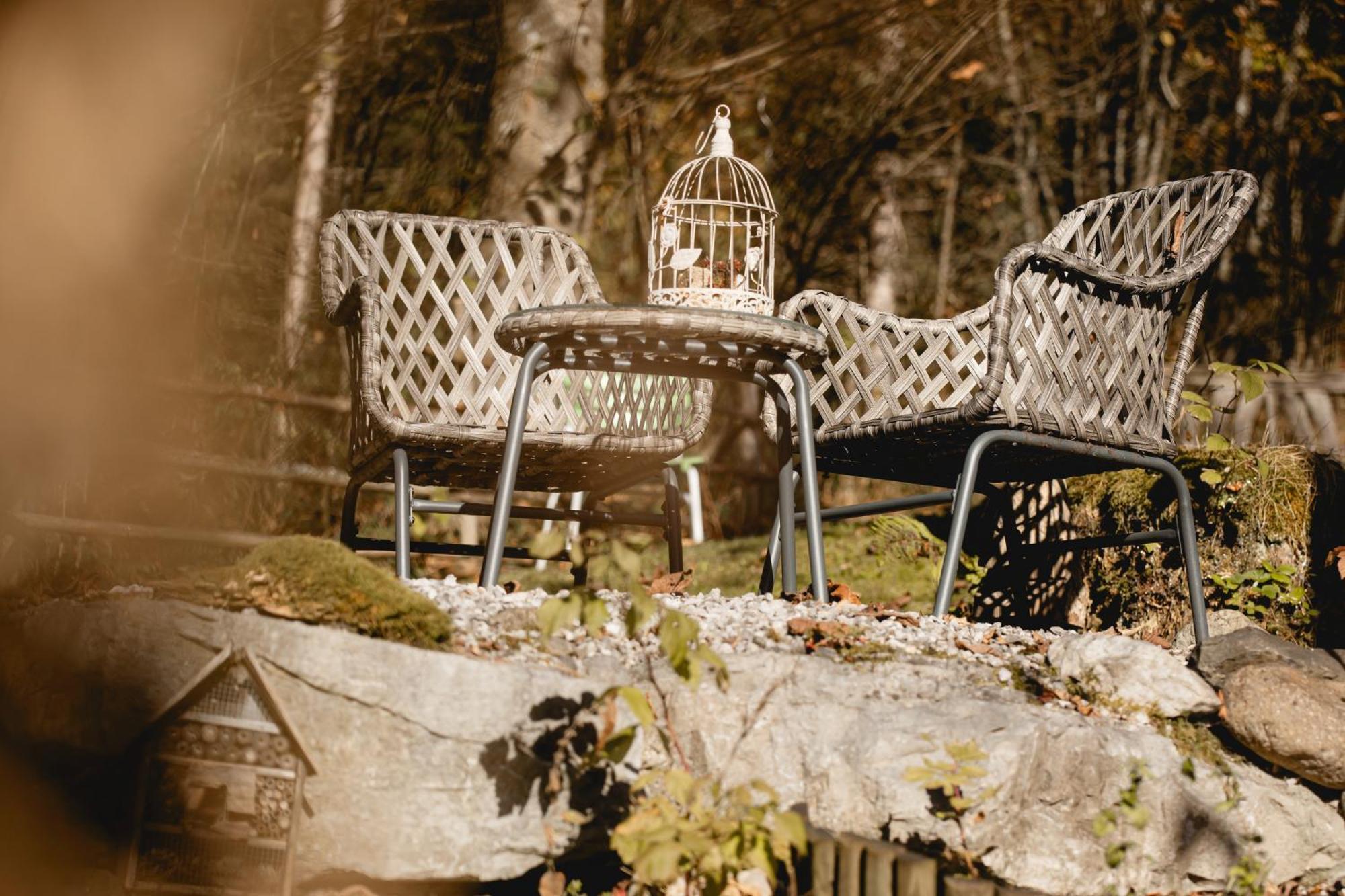 Ferienhaus Lechner Fuer Max 10 Personen - Wald Und Naturgarten Abtenau Extérieur photo